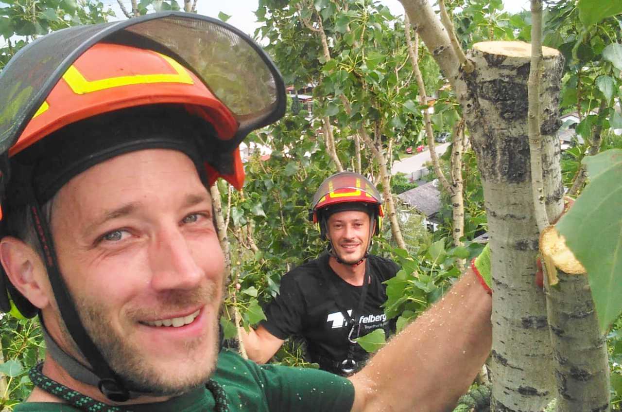 Baumschnitt durch das Team von TreeBee