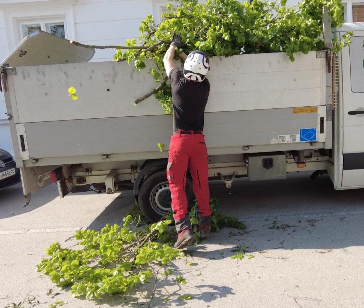 Schnittgutentsorgung TreeBee Baumschnitt Entsorgung Wien